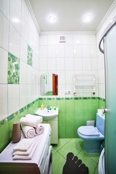 A good apartment not far from the Opera, Lviv - apartment by the day