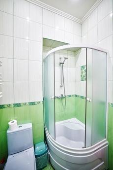 A good apartment not far from the Opera, Lviv - apartment by the day