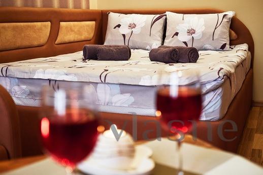 A good apartment not far from the Opera, Lviv - apartment by the day