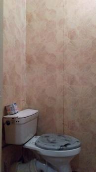 1 room. apartment on the Vineyard, fores, Kyiv - apartment by the day