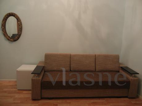 Apartment in the city of Prince Roman 26, Lviv - apartment by the day