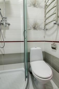 2 bedroom apartment for rent, Lviv - apartment by the day