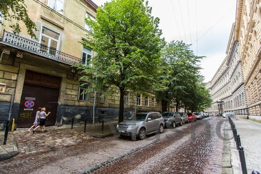 Avangard on Kostiushka St. 20 Apart, Львов - квартира посуточно