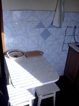 M.Vasilkovskaya, Cancer Institute, ENEA, Kyiv - apartment by the day