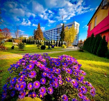 Rooms in the center of Truskavets, Truskavets - apartment by the day