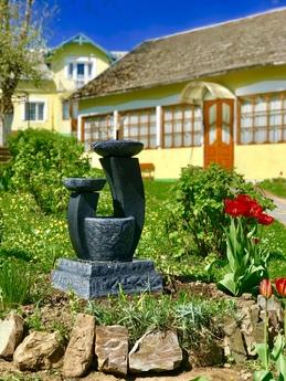 Rooms in the center of Truskavets, Truskavets - apartment by the day