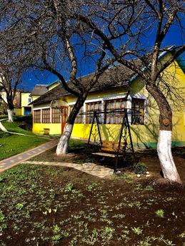 Rooms in the center of Truskavets, Truskavets - apartment by the day