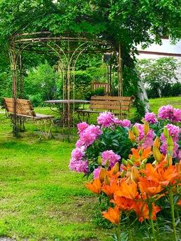 Rooms in the center of Truskavets, Truskavets - apartment by the day