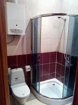 CENTER Clean and cozy apartment, Lviv - apartment by the day