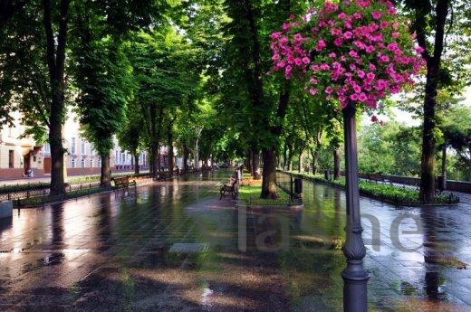 Просторная квартира в самом центре!, Одесса - квартира посуточно