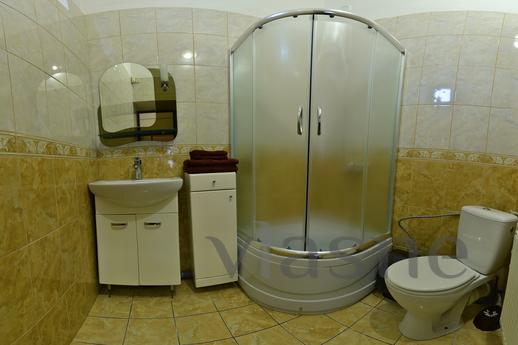 Beautiful spacious apartment, Lviv - apartment by the day