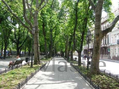 Apartments in Primorsky Boulevard, Odessa - apartment by the day