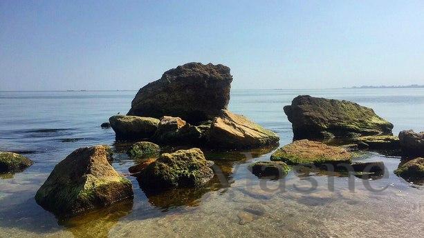 На живописном берегу в  Фонтанке дом, Одесса - квартира посуточно
