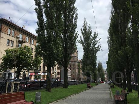 Apartment on the Boulevard of Shevchenko, Kyiv - apartment by the day