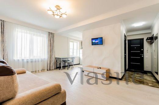 The apartment is renovated, Kyiv - apartment by the day