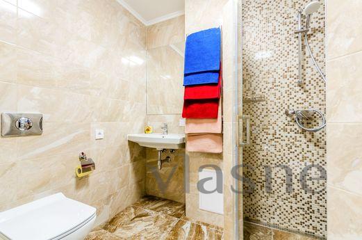 The apartment is renovated, Kyiv - apartment by the day