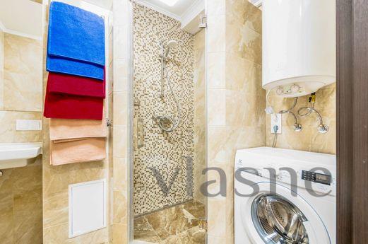 The apartment is renovated, Kyiv - apartment by the day