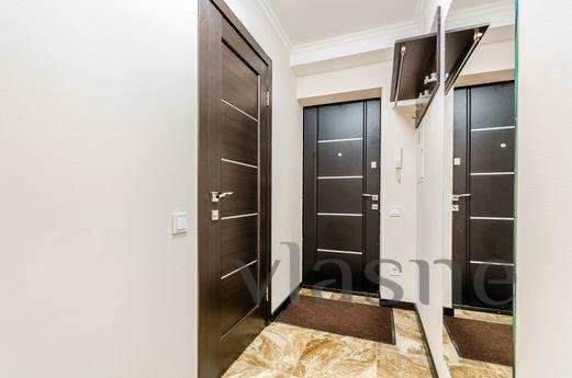 The apartment is renovated, Kyiv - apartment by the day