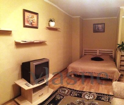 apartment in the center., Dnipro (Dnipropetrovsk) - apartment by the day