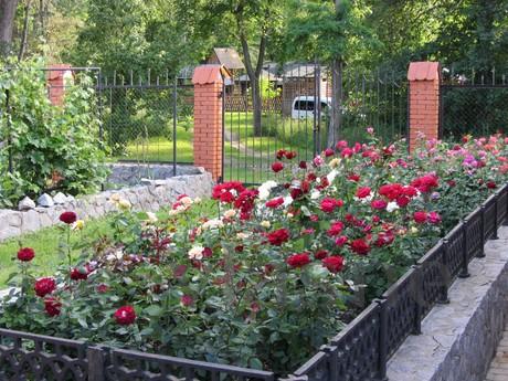 House for rent Mirgorod resort, Mirgorod - apartment by the day