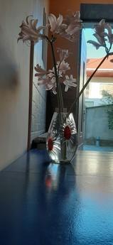 cдам посуточно свою квартиру cдам посуточно свою квартиру, Одесса - квартира посуточно