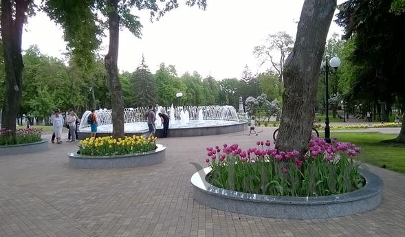 1 комнатная квартира в центре, Чернигов - квартира посуточно