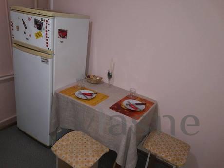 Cozy 1 bedroom apartment., Lviv - apartment by the day