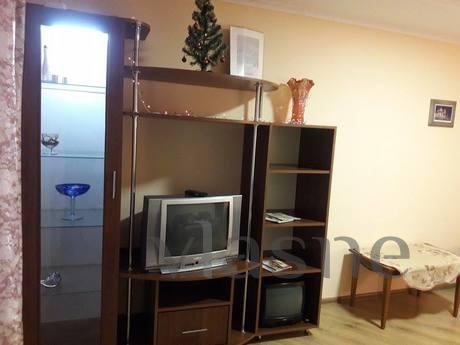 Cozy 1 bedroom apartment., Lviv - apartment by the day