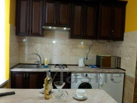 apartment in the city center, Lviv - apartment by the day