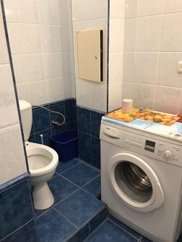 Daily 1-bedroom apartment in the center, Kyiv - apartment by the day