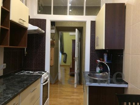 Cozy apartment in the center with a view, Kyiv - apartment by the day