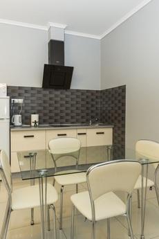 New building, studio, Kyiv - apartment by the day
