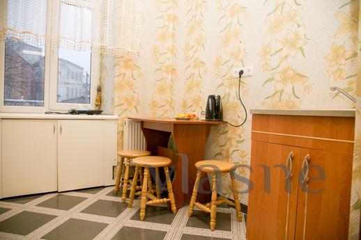 Comfortable apartment in the center, Lviv - apartment by the day