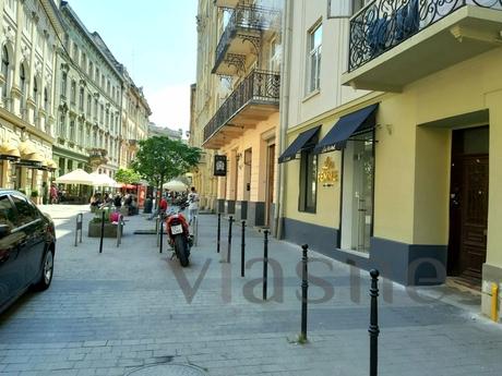 1-bedroom apartment in Lviv, Lviv - apartment by the day