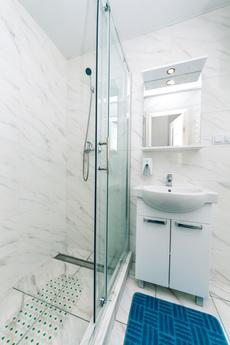 Small, cozy apartments for a couple., Kyiv - apartment by the day