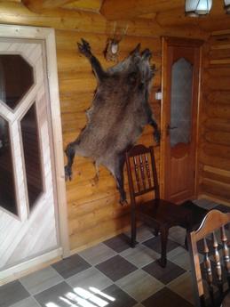 Daily Rent House, Uzhhorod, Uzhhorod - apartment by the day