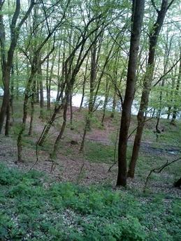 Daily Rent House, Uzhhorod, Uzhhorod - apartment by the day