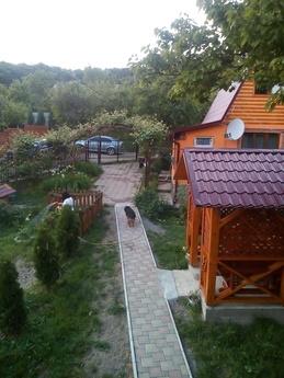 Daily Rent House, Uzhhorod, Uzhhorod - apartment by the day