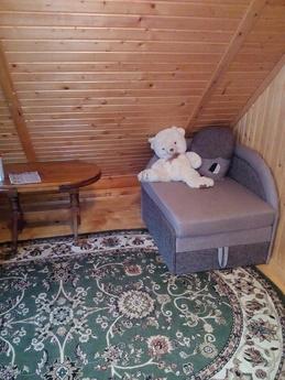 Daily Rent House, Uzhhorod, Uzhhorod - apartment by the day