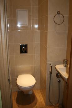 2-room apartment for Eurovision, Kyiv - apartment by the day