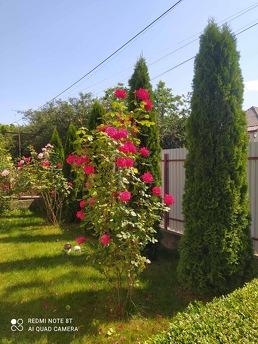 House near thermal pools, Berehovo - apartment by the day