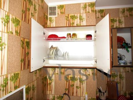 Apartment near the sea in Odessa, Odessa - apartment by the day