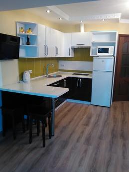Rent an apartment-studio for vacationers, Yuzhny - apartment by the day