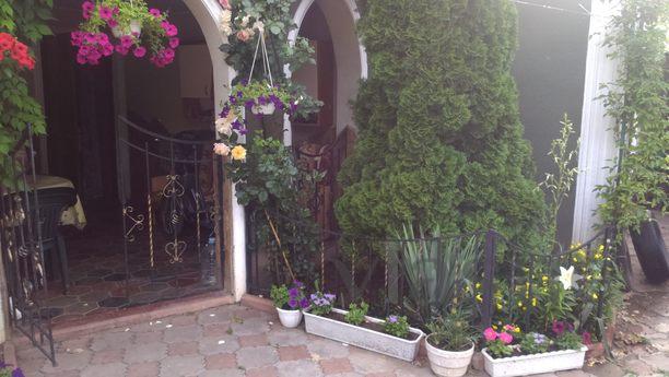 Rent rooms in the private sector, Odessa - apartment by the day