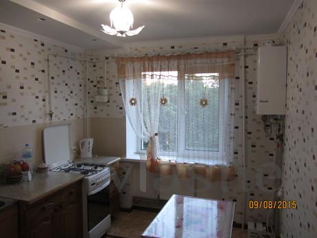 Cozy apartment ideal for vacation, Mirgorod - apartment by the day