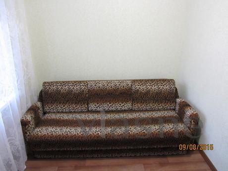 Cozy apartment ideal for vacation, Mirgorod - apartment by the day