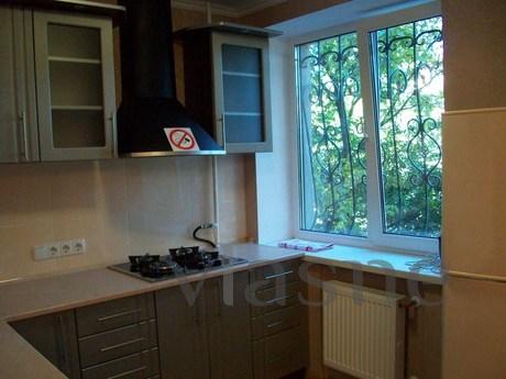 1-room studio suite near Dneproplazy, Cherkasy - apartment by the day