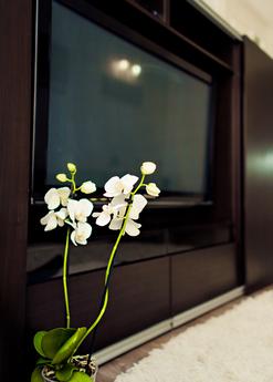 Black and white apartments, Львов - квартира посуточно