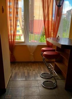 Cozy, clean apartment in a new building, Lutsk - apartment by the day