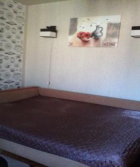 1 bedroom apartment near the metro, Kyiv - apartment by the day